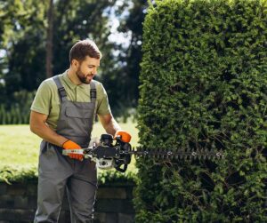 Tree Hedging