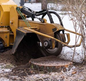 Stump Removal & Stump Grinding Services Melbourne