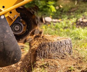 Stump Grinding