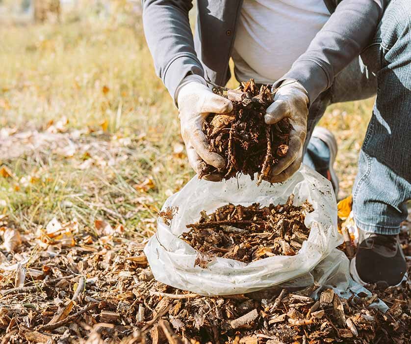 Arborist Services in Melbourne
