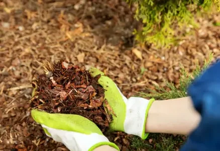 Mulching Service
