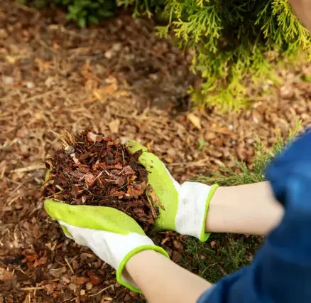 Mulching Service