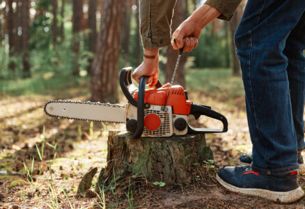 Stump Removal & Grinding
