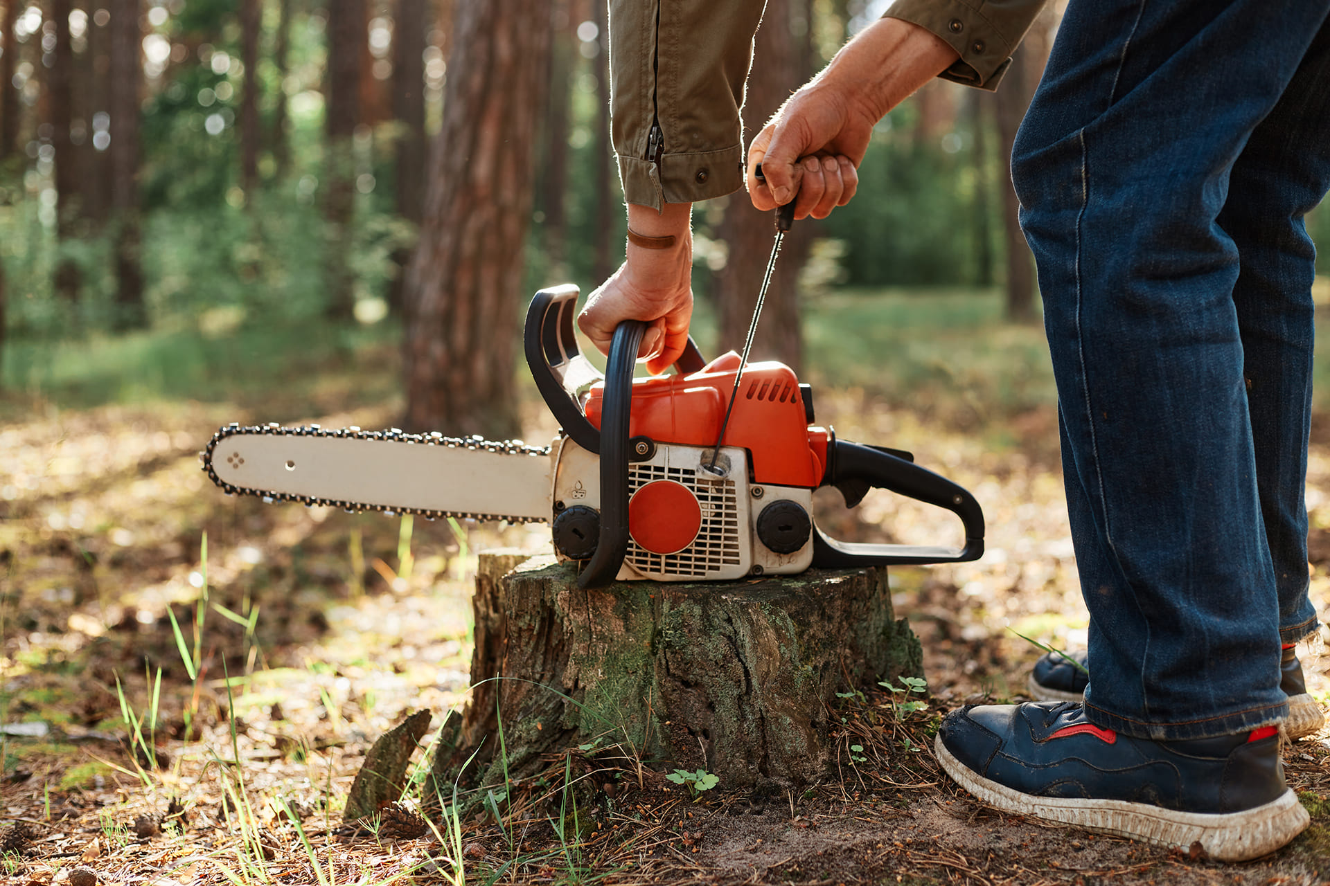 Tree Stump Removal in Melbourne | Stump Grinding Service | Terrific Trees