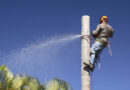Tree Loppers Melbourne