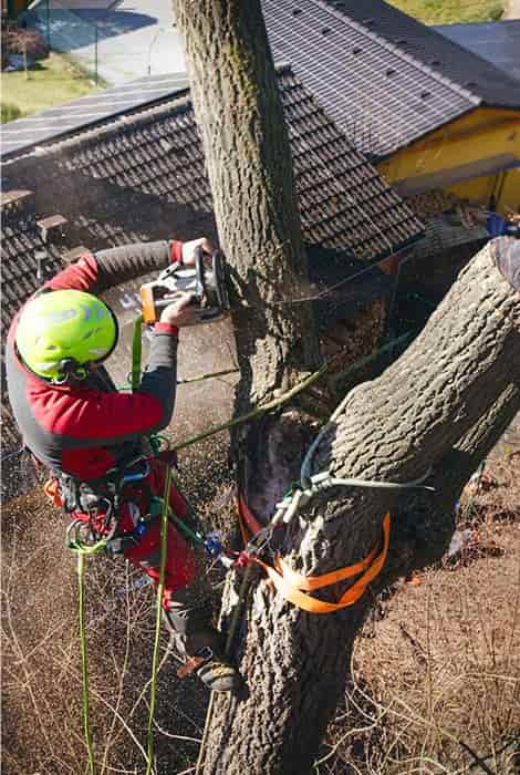 Reputable companies employ skilled team of tree arborist in Melbourne to handle every part of tree and stump removal as well as any required upkeep. Renowned companies make sure that their experts are completely licensed and covered by insurance.