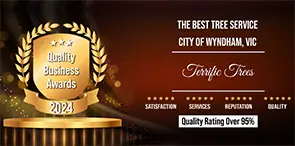 Quality Business Awards - Terrific Tress