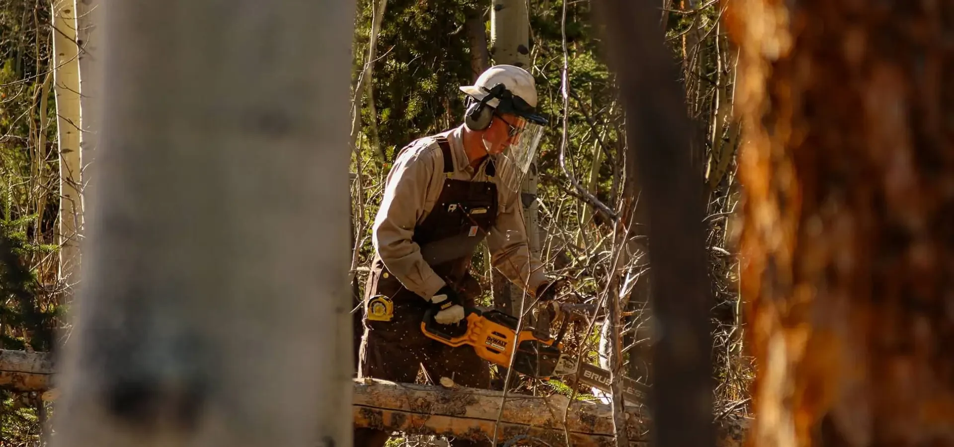 Tree Removal Services Melbourne
