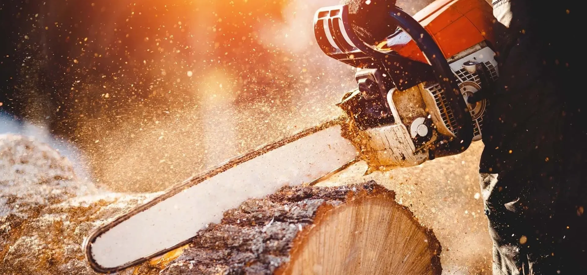 tree removal